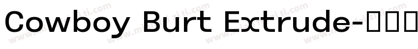 Cowboy Burt Extrude字体转换